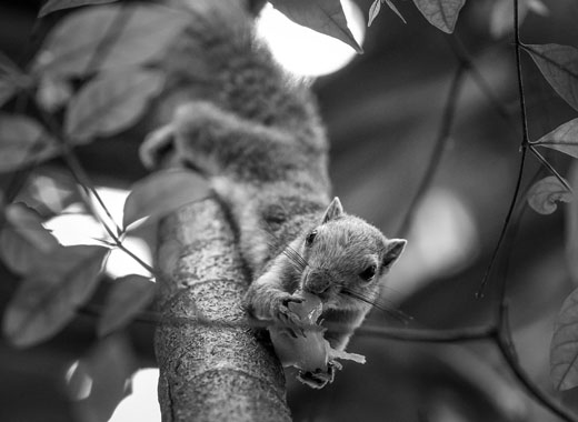 在线充值门户的电话在线轰炸网页版